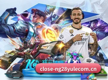 南宫28ng娱乐 APP